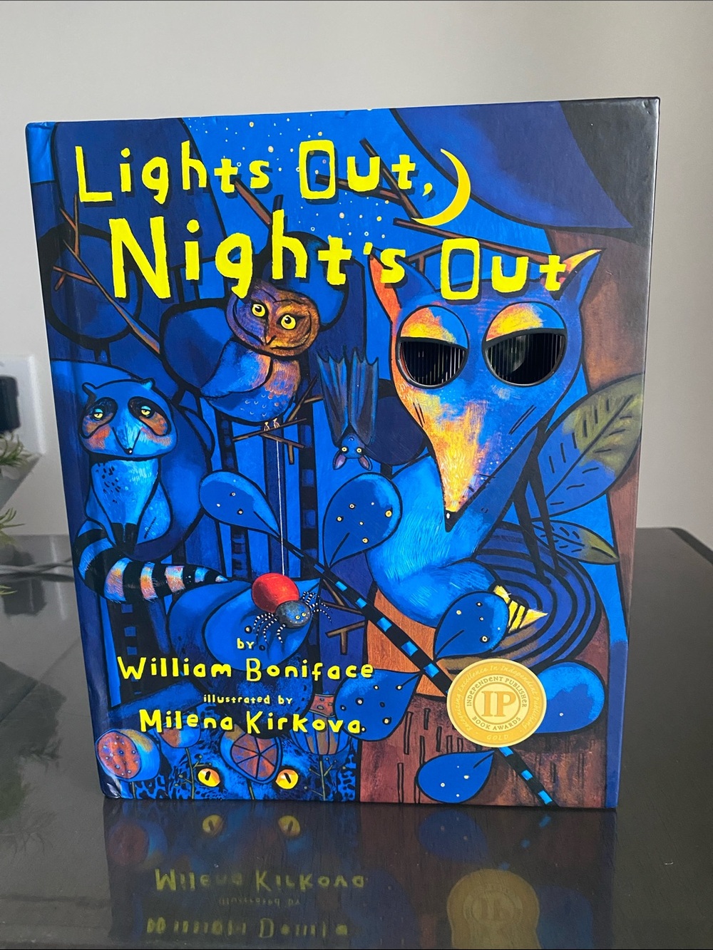 New🌈 Animotion Book Lights Out, Night's Out by William Boniface